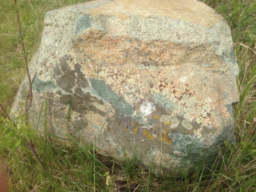 Гигантские зелёные валуны для ландшафтного дизайна весом более 5 тонн купить в Протвино